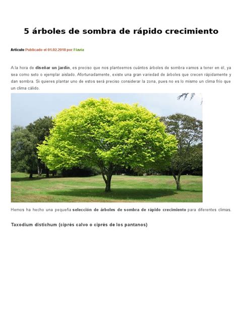 5 Árboles De Sombra De Rápido Crecimiento Pdf Arboles Clima