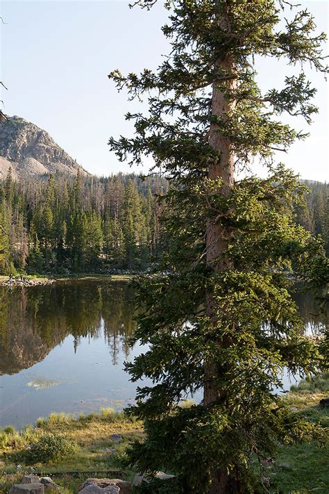 Uinta Wasatch Cache National Forest UTAH Katina Houvouras