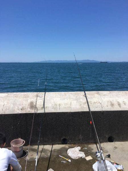 のませ 和歌山県 和歌山マリーナシティ のませ釣り ヒラメ 陸っぱり 釣り・魚釣り 釣果情報サイト カンパリ