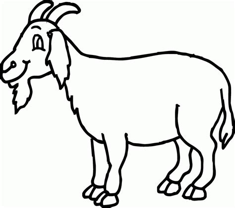 Sketsa Gambar Hewan Herbivora Garlerisket
