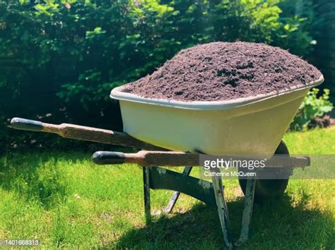 126 Mulch Wheelbarrow Stock Photos High Res Pictures And Images