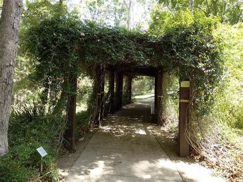Best 10 Parks In Sunshine Coast