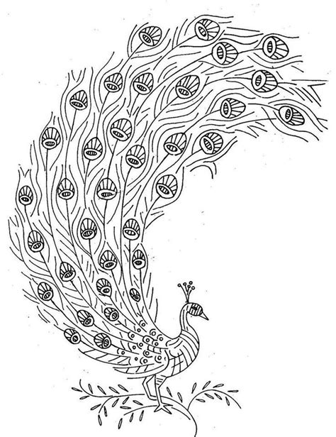 Peacock Drawing In Pencil At Getdrawings Free Download