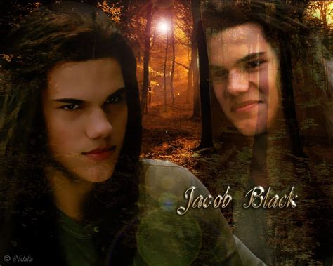 Jacob Black Jacob Black Twilight The Twilight Saga Team Jacob