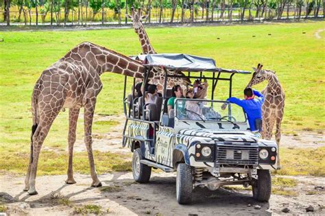 Africa Safari Adventure Park Day - Congo Trail Canopy Tour, Your family ...