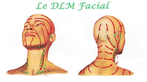 Massage Et Drainage Lymphatique Manuel Le Dlm Facial