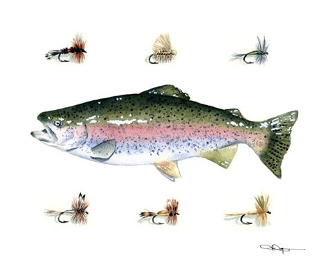 Rainbow Trout II Flies – djrogersart.com