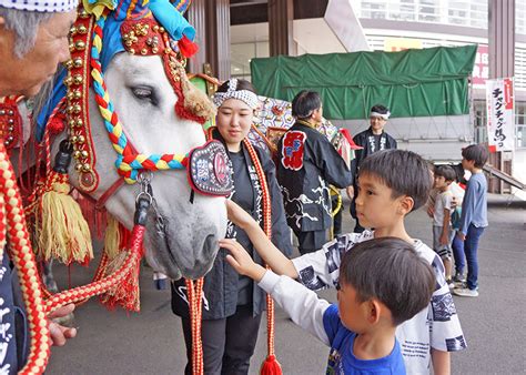 チャグチャグ馬コ見に来て 盛岡で触れ合いイベント｜iwanichi Online 岩手日日新聞社