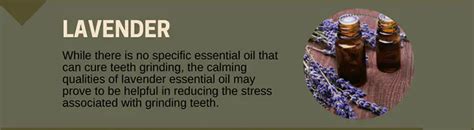 11 Best Essential Oils For Toothaches Mom Prepares