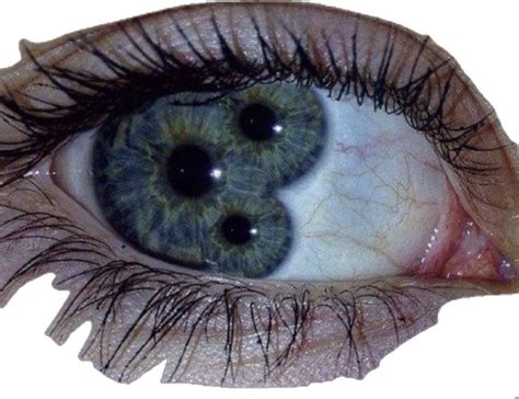 Pin By Pretty Sara On Collage Item Pins In Eye Art Creepy Eyes