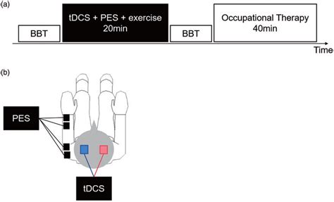 A Treatment Session B Schema Of Combined Tdcs And Pes Bbt Box