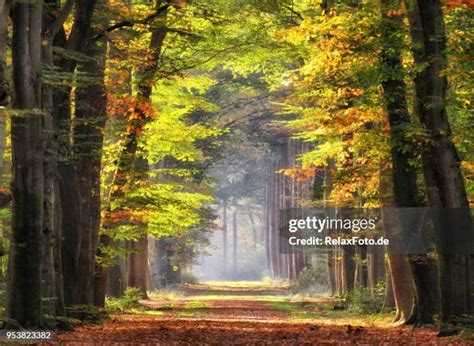 334,328 Beautiful Fall Landscape Stock Photos, High-Res Pictures, and ... 