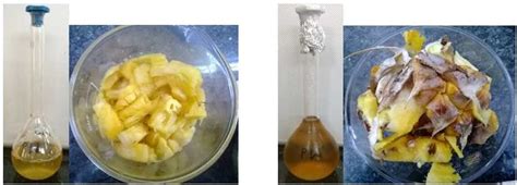 Crude extract of Bromelain enzyme, (a): From pineapple fruit, (b): From ...