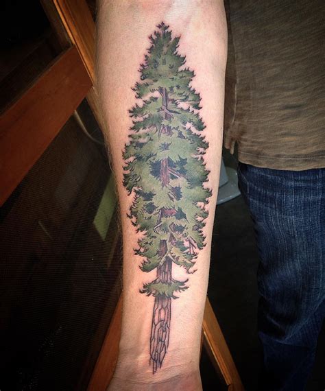 Forearm Redwood Tree Tattoos