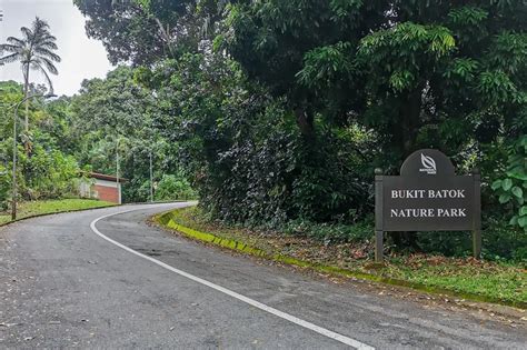 Guide to Visiting Bukit Batok Nature Park