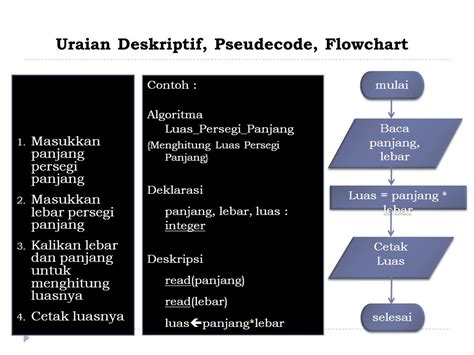 Contoh Pseudocode Dan Flowchart 52 Koleksi Gambar