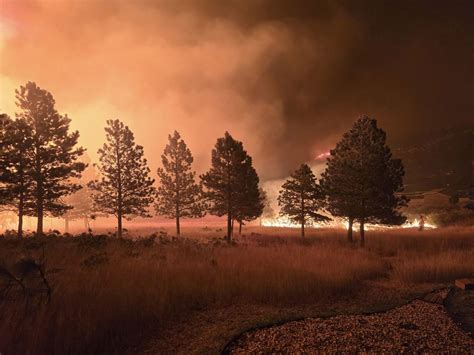 A ‘favorable Forecast After Elk Fire Grows To 73000 Acres