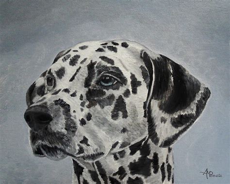 Dalmatian Portrait Painting By Angeles M Pomata Fine Art America