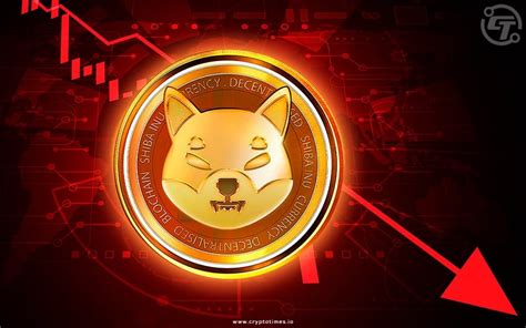 Shiba Inu Prices Drop Long Term Holders Remain Bullish The