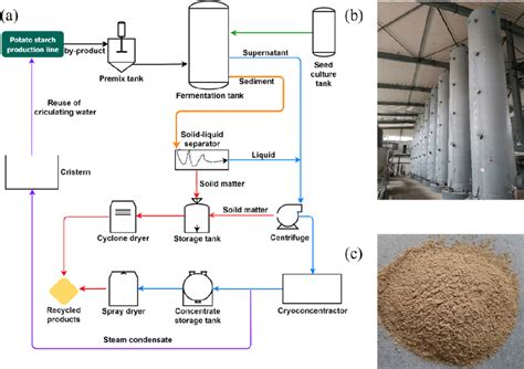 Figure 1 From Application Of Aspergillus Niger In Practical Biotechnology Of Industrial Recovery