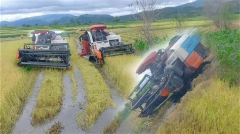 Kubota Tractor Việt Nam Famer Tractor Famer 7 Xe Công Nông