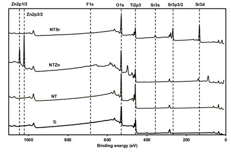 Xps Spectra Of Different Surfaces Download Scientific Diagram