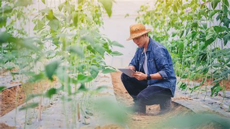 Agritech comment le numérique peut accélerer la transition