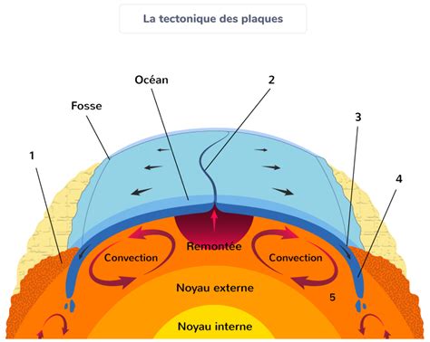 Sch Matiser Le Principe De Tectonique Des Plaques Re Exercice De