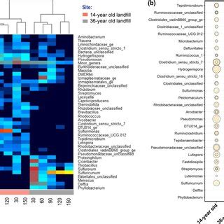 Heat Map Showing Most Abundant Bacterial Genera Whose Relative