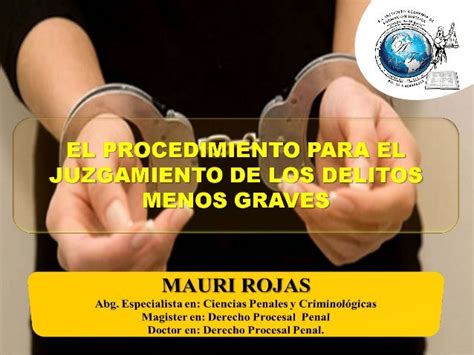 Procedimientos Delitos Menos Gravesiafjsr