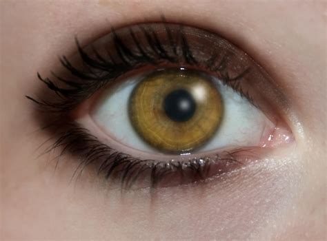 Amber eyes by XxsamskiexX on DeviantArt