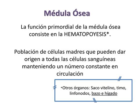 Histolog A M Dula Sea Y Sangre Ppt