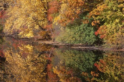 Photos: Beautiful fall foliage around the country