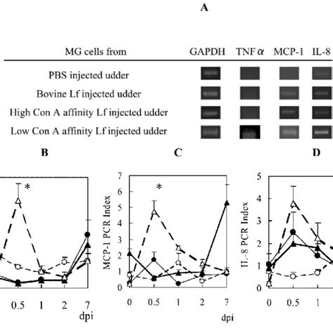 The Kinetics Of Mrna Expression Of Tnfα Mcp 1 And Il 8 On Mg Cells