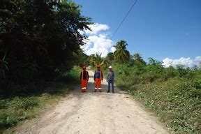 Alcalde Provincial Viene Gestionando 17 Tramos De Caminos Vecinales En