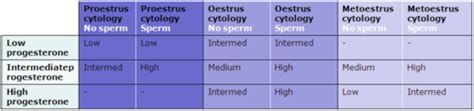 Sdl Unwanted Breeding Flashcards Quizlet