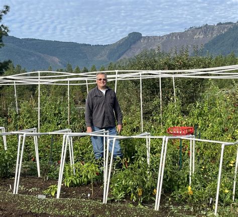 GROWING TOMATOES AND PEPPERS FROM SEED IN THE PNW Washington County