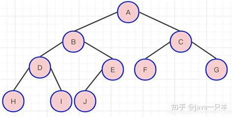 二叉树！！！数据结构与算法 看完这篇文终于搞明白了 知乎