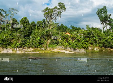 Rio Napo In Misahualli Amazon Ecuador Stock Photo Alamy