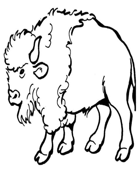 Bison coloring page free and online coloring