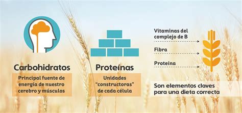 El poder de los granos Orígenes y beneficios Kellogg s