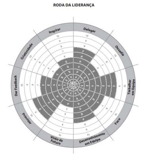 Rodas Vida Compet Ncia Lideran A Lideran A E Coaching