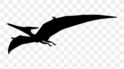 Pteranodon Dinosaur Silhouette Png Clipart Free Png Rawpixel