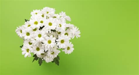 Premium Photo | White daisy flowers bouquet