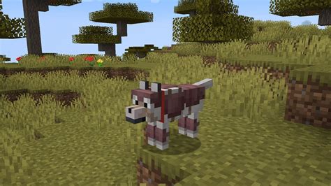 Minecraft Armadillo Update All You Need To Know