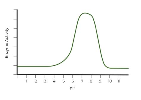 Enzyme Inhibition Other Forms On The Mcat Medlife Mastery