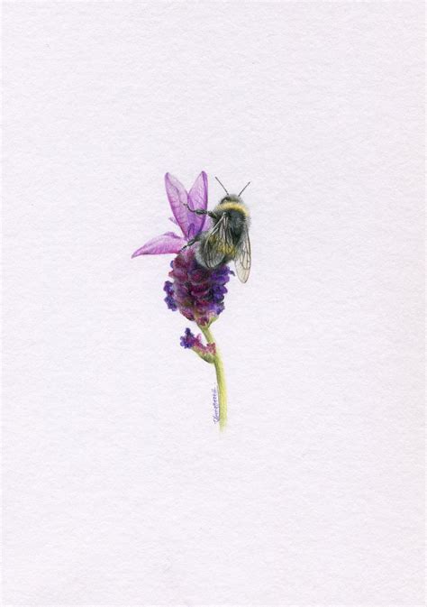 Mini One Off Original Coloured Pencil Bee 1 Olivia Bezett Artist