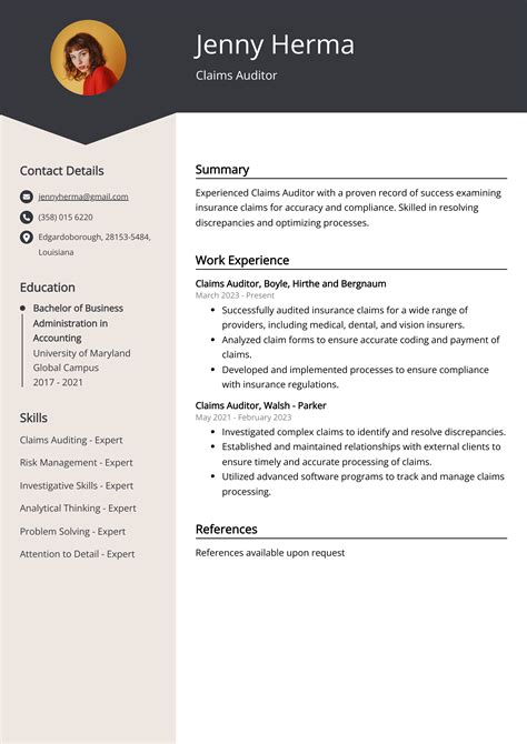 Claims Auditor Resume Example Free Guide