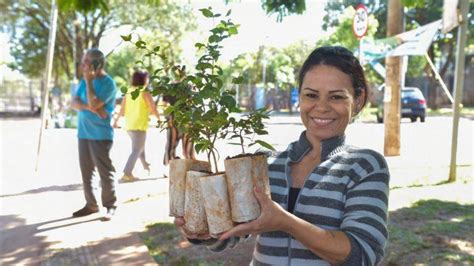 PREFEITURA CELEBRA SEMANA DA ÁRVORE DISTRIBUIÇÃO DE 15 MIL MUDAS