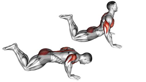 Hindu Pushups How To Benefits And Muscle Worked 2022